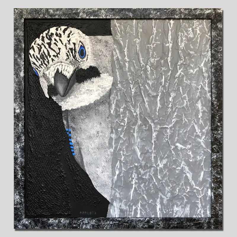 vogelportrait-eichelhaeher