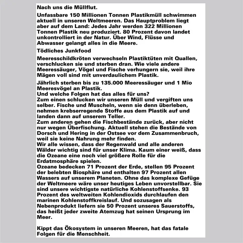 kunstaktion-globaler-klimastreik-astrid-lamm