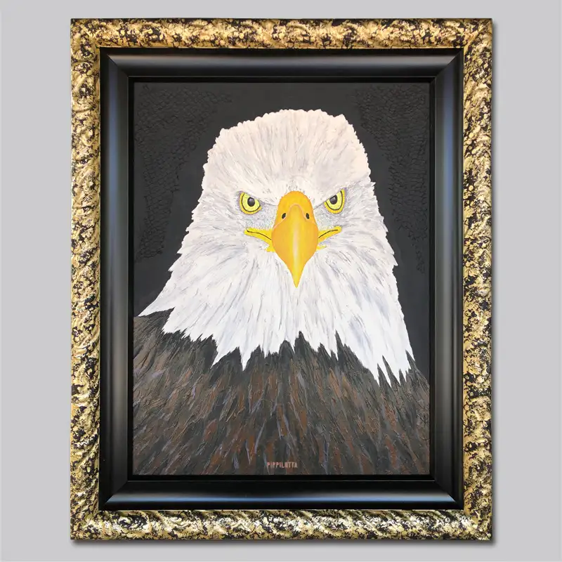 vogelportrait-weisskopfseeadler